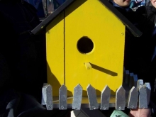 У пернатых — новоселье